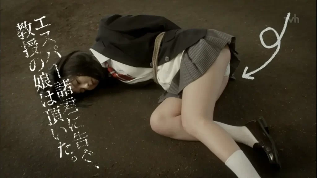 真野恵里菜のパンチラ画像4