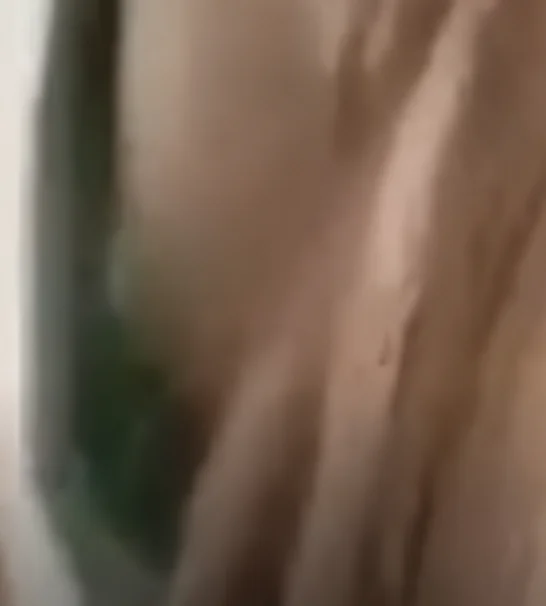 藤田ニコルの乳首高画質拡大高画質